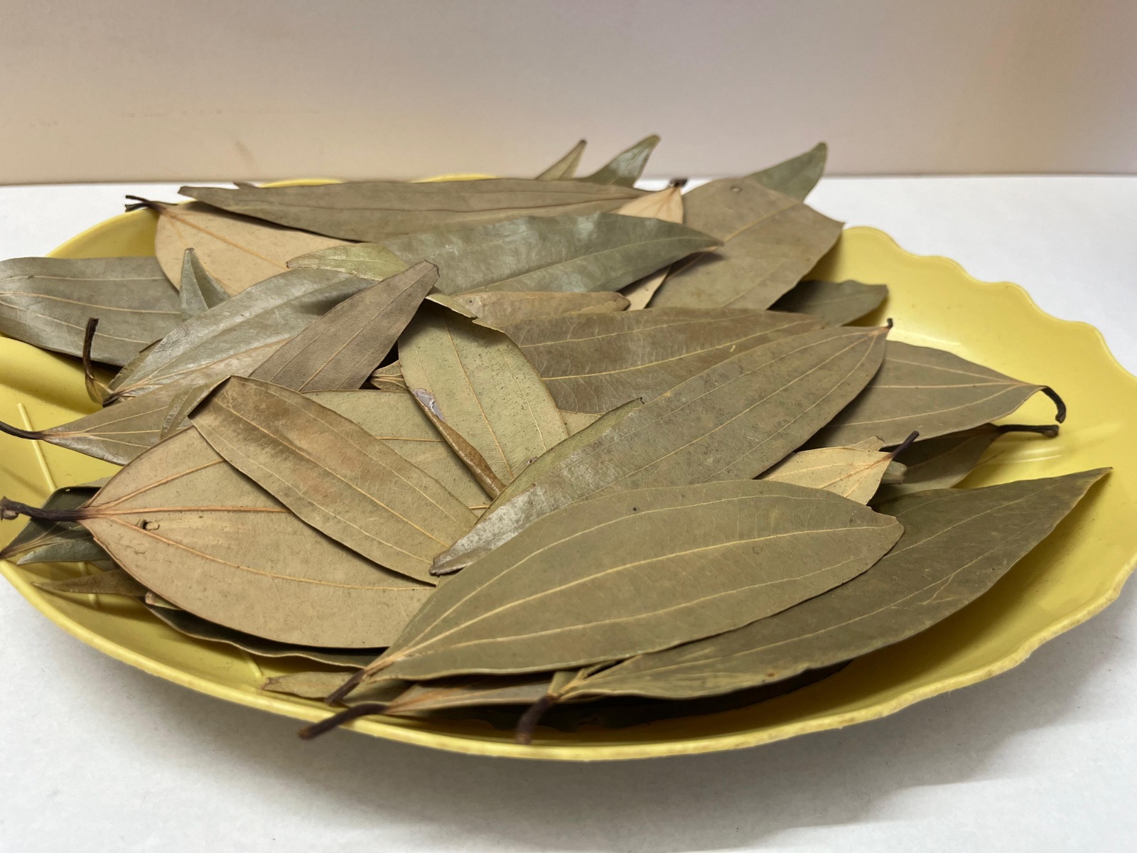 WhatsApp Image 2024-10-13 at 5.56.04 PM