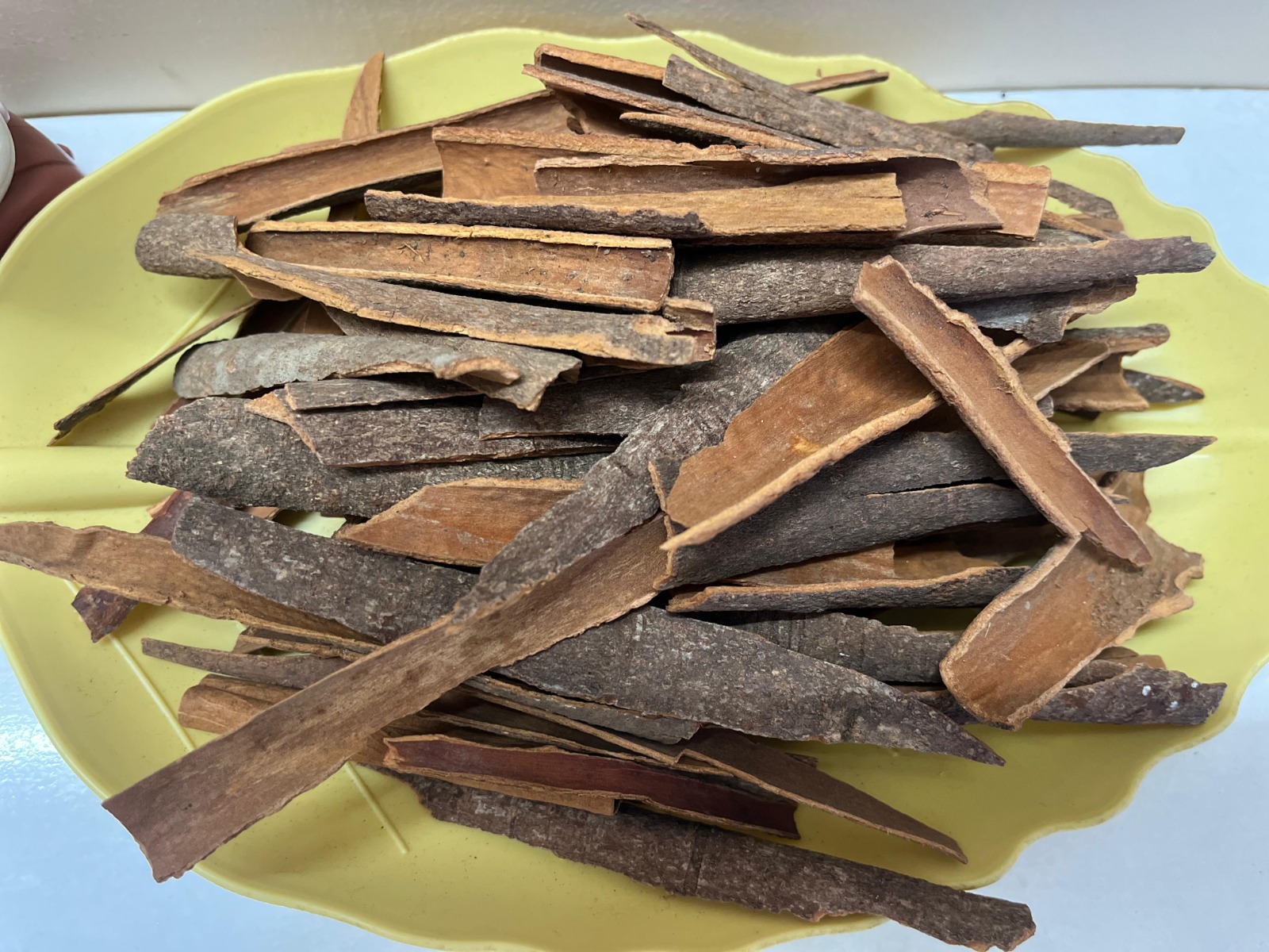 WhatsApp Image 2024-10-13 at 5.57.14 PM