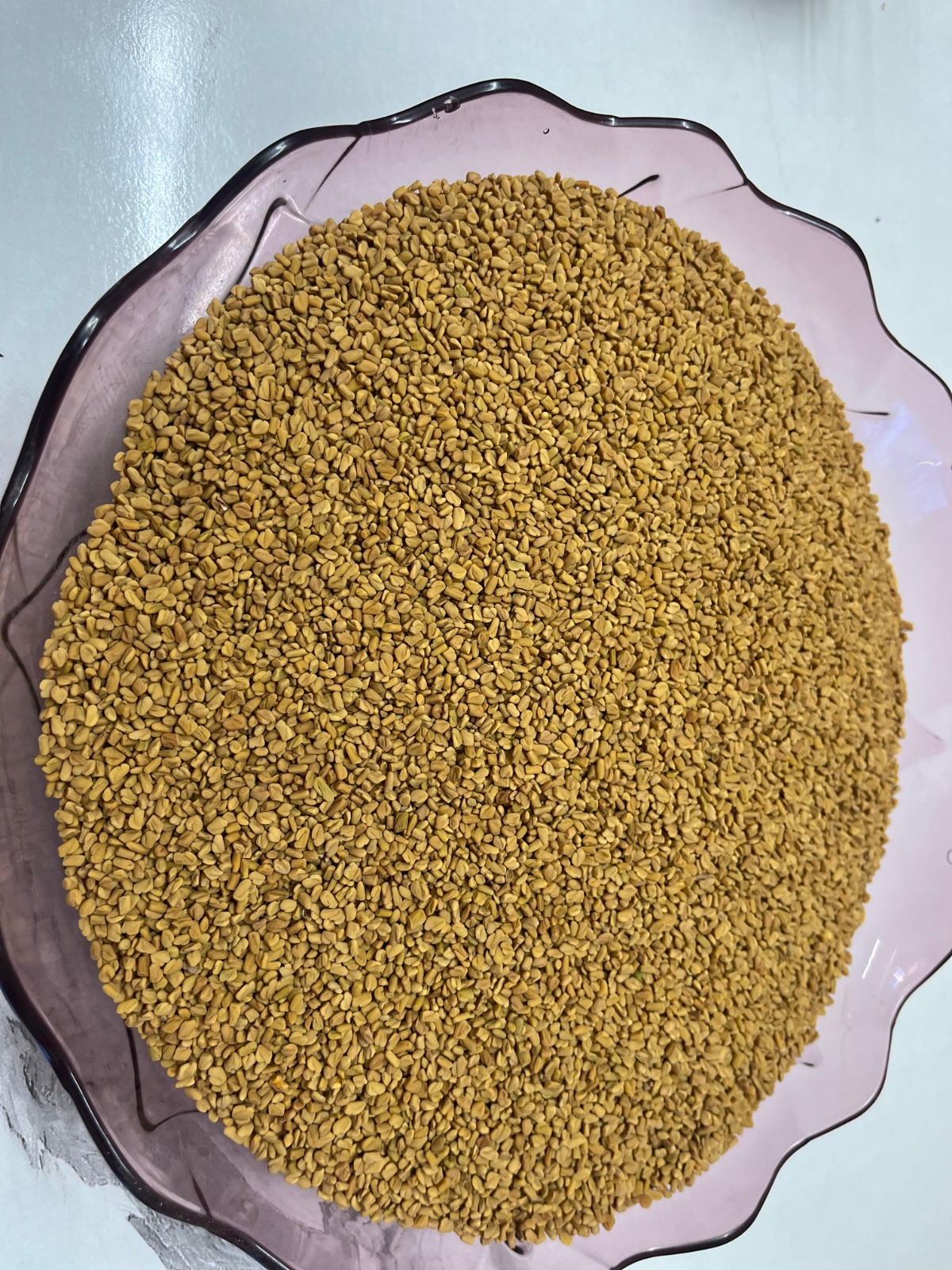 WhatsApp Image 2024-10-13 at 5.59.24 PM