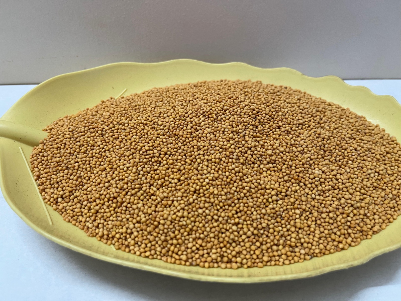 WhatsApp Image 2024-10-13 at 5.59.54 PM