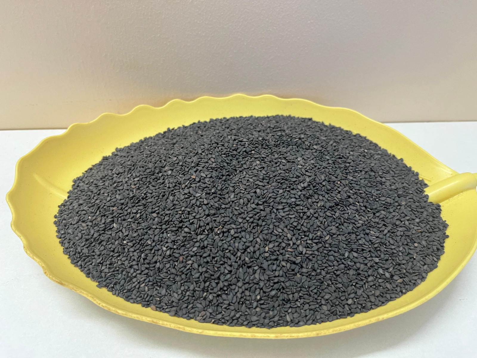 WhatsApp Image 2024-10-13 at 6.00.06 PM