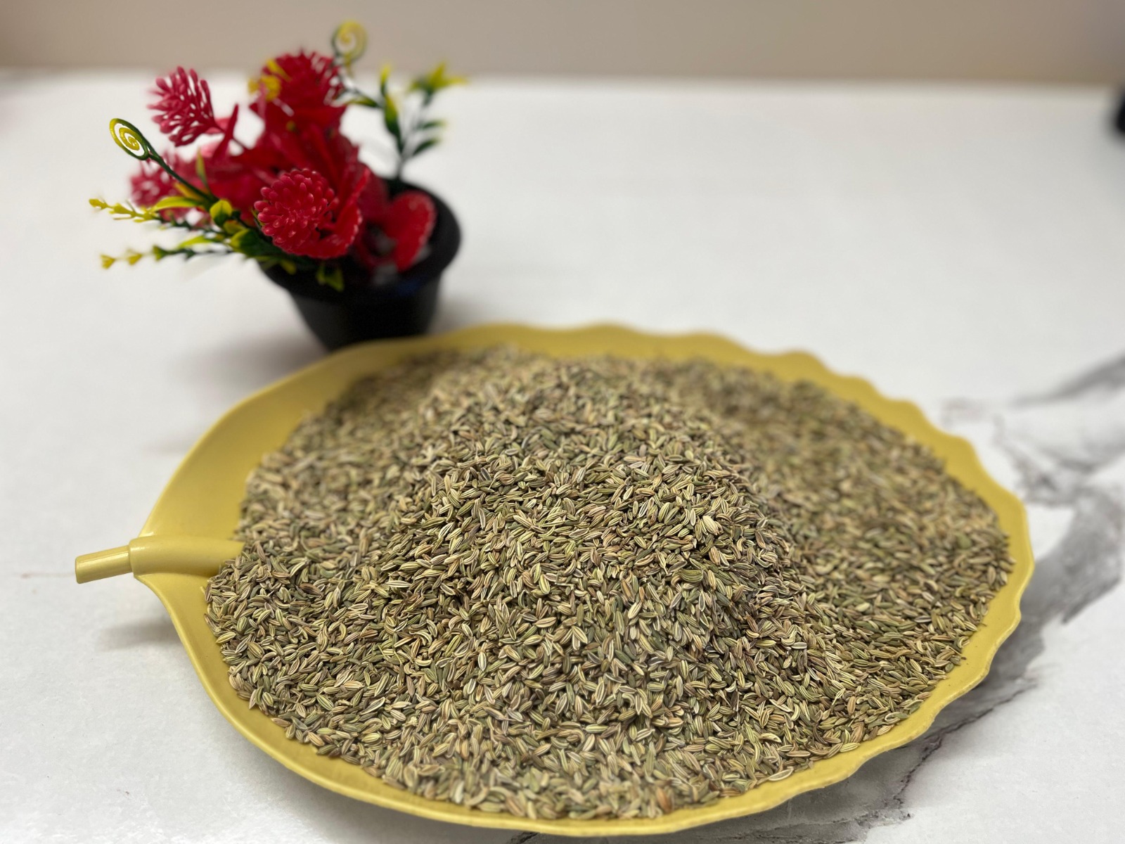 WhatsApp Image 2024-10-13 at 6.50.30 PM (1)