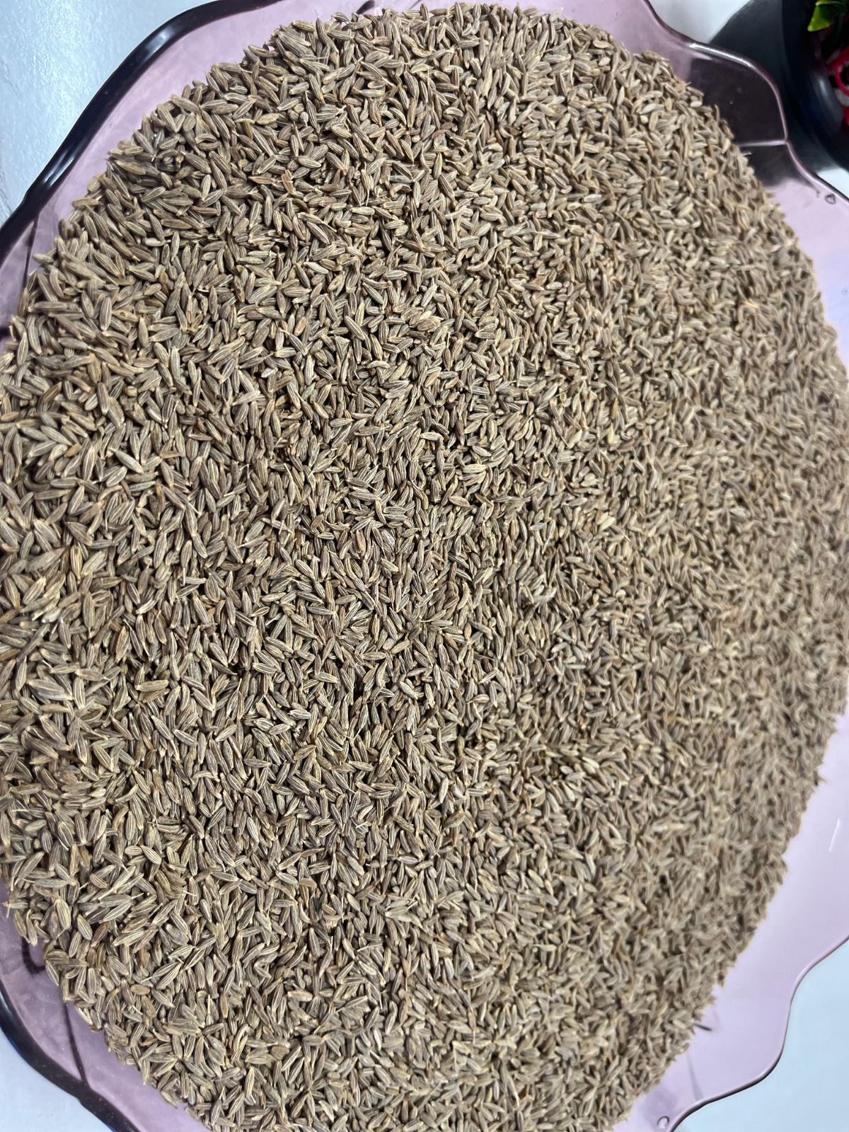 WhatsApp Image 2024-10-13 at 6.52.41 PM