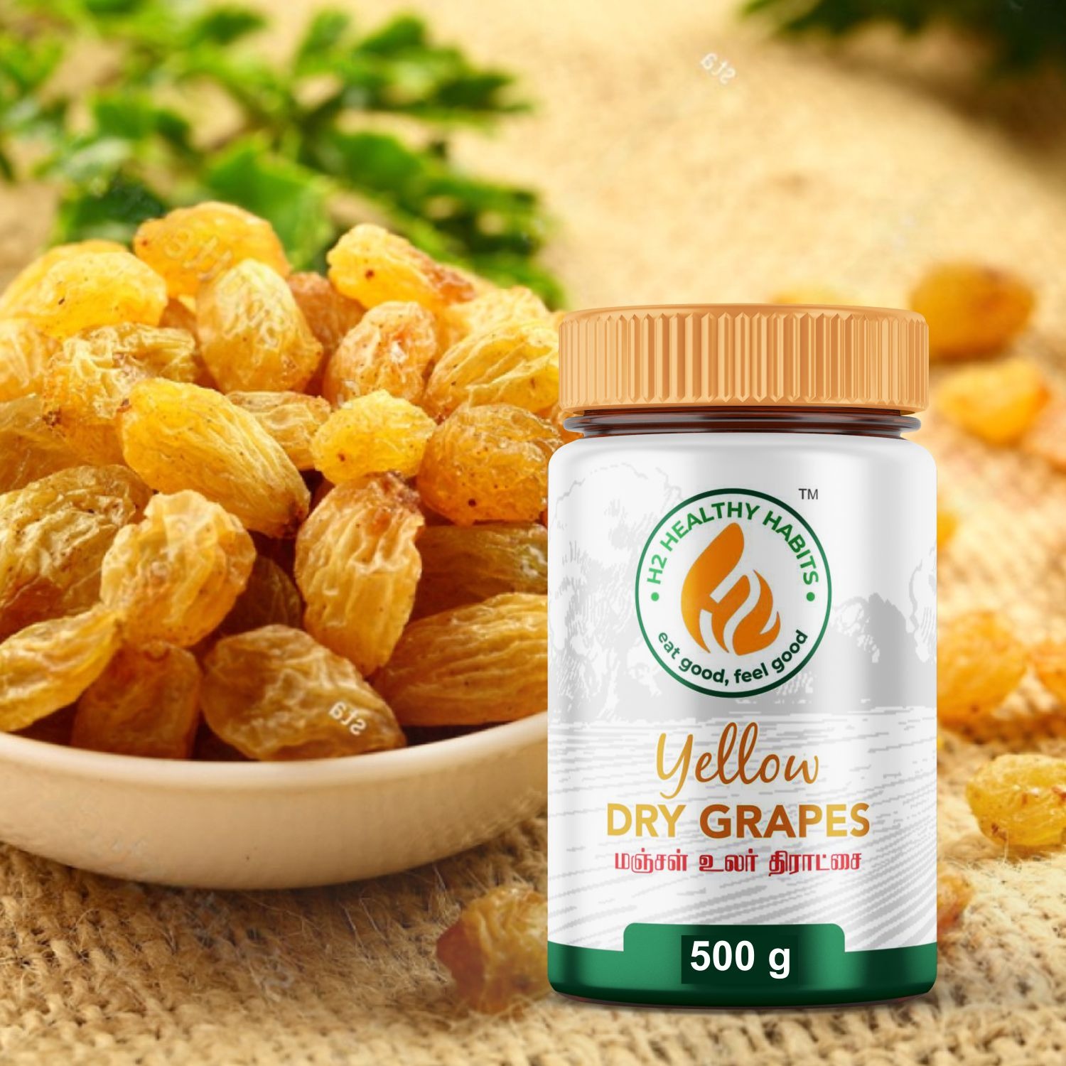 WhatsApp Image 2024-10-16 at 2.25.55 PM