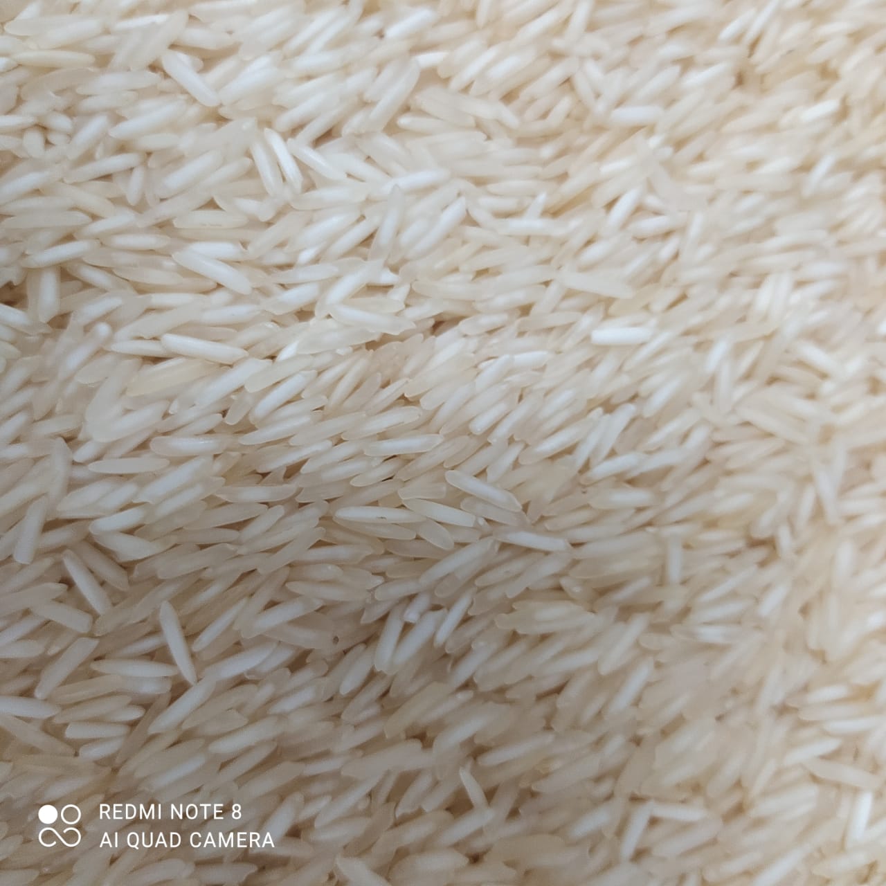 Basmati rice