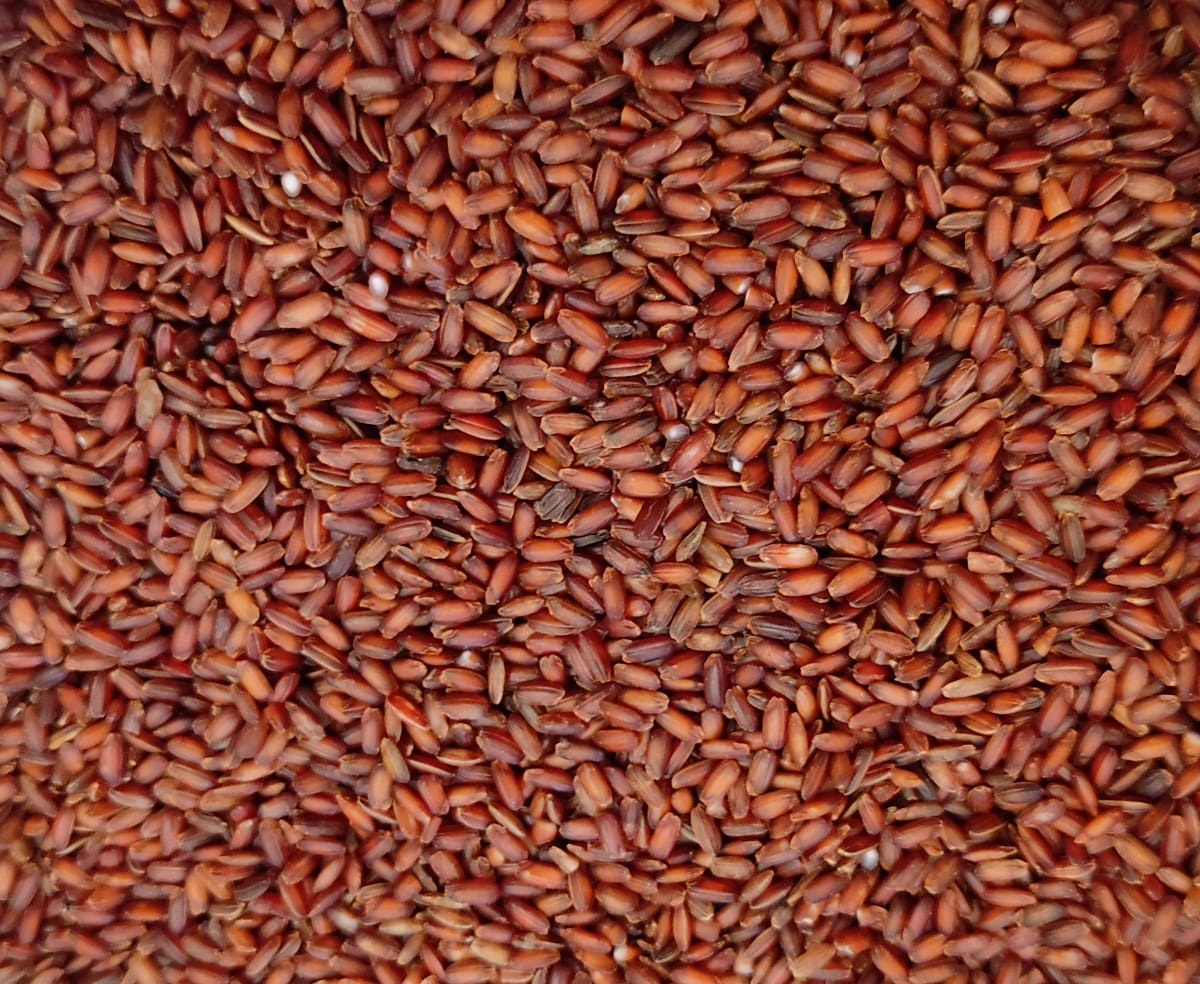 Poongar rice